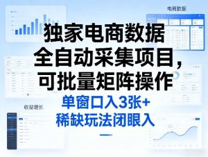 独家电商数据全自动采集项目,可批量矩阵操作,单窗口日入3张+,稀缺玩法闭眼入【揭秘】-阿俊淘金