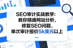 SEO审计实战教学:教你精通网站分析,修复SEO问题,单次审计报价5k美元以上-阿俊淘金