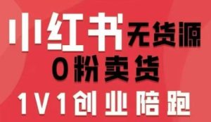 小红书无货源0粉电商课，开店准备、选品策略、笔记撰写、视频剪辑、数据分析、账号打造、资料文档（更新26年3月）-阿俊淘金