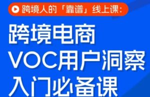 跨境电商VOC用户洞察入门必备课,跨境人的靠谱线上课-阿俊淘金