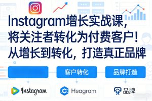 Instagram增长实战课，将关注者转化为付费客户！从增长到转化，打造真正品牌（双语字幕）-阿俊淘金