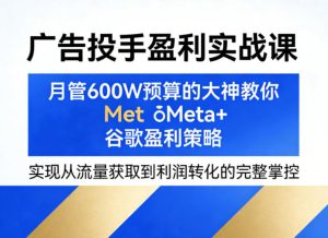 广告投手盈利实战课，月管600W预算的大神教你Meta+谷歌盈利策略，实现从流量获取到利润转化的完整掌控-阿俊淘金