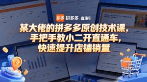 某大佬的拼多多原创技术课，手把手教小二开直通车，快速提升店铺销量-阿俊淘金