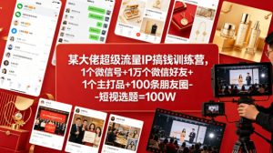 某大佬超级流量IP搞钱训练营，1个微信号+1万个微信好友+1个主打品+100条朋友圈-短视选题=100W-阿俊淘金
