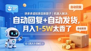 拼多多虚拟类目新路子｜机器人解决，自动回复+自动发货，月入1-5W太香了【揭秘】-阿俊淘金