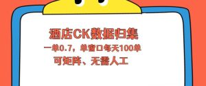 上班也能玩的酒店CK数据归集，一单0.7单窗口每天可做100单，一个人就能矩阵操作【揭秘】-阿俊淘金