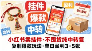 小红书卖挂件，不囤货纯中转复制爆款玩法，单日盈利3-5张-阿俊淘金