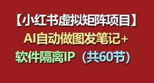 小红书虚拟矩阵项目:软件隔离IP+AI自动做图发笔记(共60节)-阿俊淘金