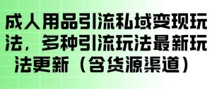 成人用品引流私域变现玩法,多种引流玩法最新玩法,操作简单(含货源渠道)-阿俊淘金