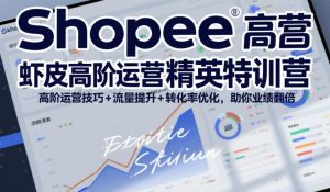 Shopee虾皮高阶运营精英特训营，高阶运营技巧+流量提升+转化率优化，助你业绩翻倍（更新26年5月）-阿俊淘金