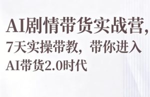 AI剧情带货实战营，7天实操带教，带你进入AI带货2.0时代-阿俊淘金