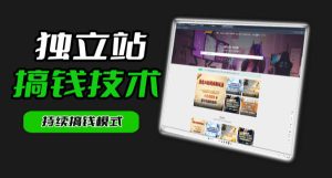 干货来袭！麦子甜带你吃透独立站｜从搭建到引流一站式教学《独立站》第一期-阿俊淘金