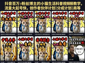 抖音百万粉丝博主的小猫生活科普视频教学,流量大起号快,创作者伙伴计划|分成计划|商单|收徒等-阿俊淘金