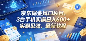 京东掘金风口项目,3台手机实操日入600+,实测见效,最新教程【揭秘】-阿俊淘金
