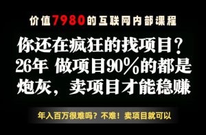 26年请不要疯狂的找项目了，卖项目远比你想象的暴利，你也可以月入10W+【揭秘】-阿俊淘金
