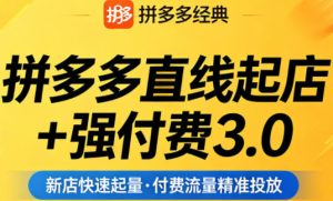 拼多多直线起店+强付费3.0，教你稳定起店、高效控投产、破解流量瓶颈（更新4月）-阿俊淘金