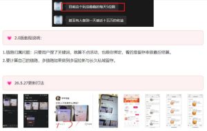 KS项目2.0期-拆本周结1W项目思路,几张图撬动流量群体,真的生猛-阿俊淘金