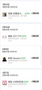 宠物托运阳光赛道賺钱教学,小众高刚需冷门项目,日均10单稳定盈利,单均利润200+-阿俊淘金
