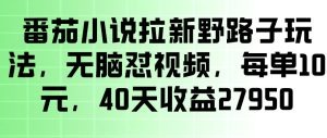 番茄小说拉新野路子玩法,无脑怼视频,玩法简单、见效快,每单10米,40天收益27950-阿俊淘金