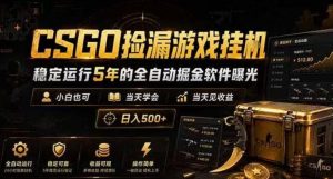 CSGO捡漏游戏挂G,稳定运行5年的全自动掘金软件曝光,小白也可当天学会,当天见收益,日入500+【揭秘】-阿俊淘金