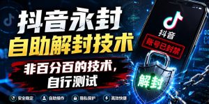 抖音永封自助解封技术,非百分百的技术,自行测试-阿俊淘金
