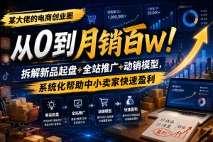 某大佬的电商创业圈从0到月销百W!拆解新品起盘+全站推广+动销模型,系统化帮助中小卖家快速盈利-阿俊淘金