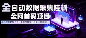 全自动数据采集挂G,全网首码项目,简单易操作,小白也能轻松上手,多账号操作,轻松日入500+【揭秘】-阿俊淘金