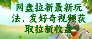 网盘拉新最新玩法,发好奇视频获取拉新收益,抖音收藏家玩法-阿俊淘金