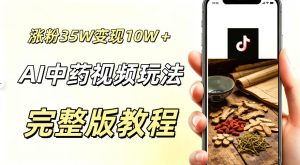 用ai做中药视频，涨粉35.8W，分成计划+橱窗累计变现10W+-阿俊淘金