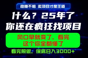 26年，请不要疯狂的找项目做了！卖项目才是真的稳賺不赔，看完照做，保底日入1k+【揭秘】-阿俊淘金