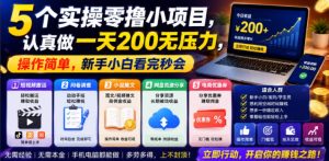 5个实操零撸小项目,认真做一天200无压力,操作简单,新手小白看完秒会【揭秘】-阿俊淘金