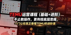 TEMU运营课程（基础+进阶），不止教操作，更传授底层思维，一门让你真正看懂TEMU的进阶课-阿俊淘金