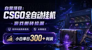 自营项目：CSGO全自动挂G，游戏搬砖捡漏，软件科技简单易用，长期稳定，小白单日300+利润【揭秘】-阿俊淘金