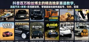 抖音百万粉丝博主的精选独家赛道教学,涵盖汽车+体育+影视解说等,零基础也能快速起号、涨粉、变现-阿俊淘金