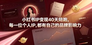 小红书IP变现40天陪跑，每一位个人IP，都有自己的品牌影响力-阿俊淘金