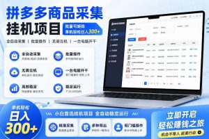 拼多多商品信息采集挂G项目，批量可矩阵，单机轻松日入300+，长期稳定【揭秘】-阿俊淘金