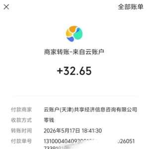 微信游戏撸广独家玩法,今天做明天就能出收益,单号日收益20+,可多号矩阵放大-阿俊淘金