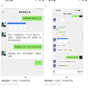 薅流虚拟2.0陪跑课,0成本AI流程化操作,淘宝+闲鱼同步玩法,上一次货两个平台有收益,单店每天200纯利润-阿俊淘金