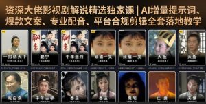 资深大佬影视剧解说精选独家课|AI增量提示词、爆款文案、专业配音、平台合规剪辑全套落地教学-阿俊淘金