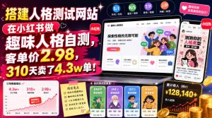 搭建人格测试网站在小红书做趣味人格自测,客单价2.98,310天卖了4.3w单!-阿俊淘金