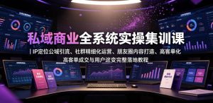 私域商业全系统实操课|IP定位公域引流、社群精细化运营、朋友圈内容打造、高客单成交与用户裂变完整落地教程-阿俊淘金