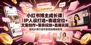 小红书博主成长课|IP人设打造+赛道定位+文案创作+薯条投放+直播实操,宝妈从零打造可变现自媒体账号-阿俊淘金