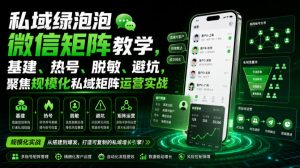 私域绿泡泡微信矩阵教学,基建、热号、脱敏、避坑,聚焦规模化私域矩阵运营实战-阿俊淘金