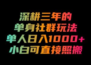 深耕三年的单身社群玩法，单人日入1000+，小白可直接照搬！【揭秘】-阿俊淘金